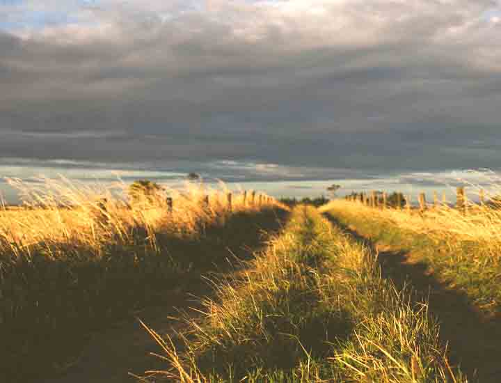 帮您抓住机遇的免费DDOS攻击测试工具